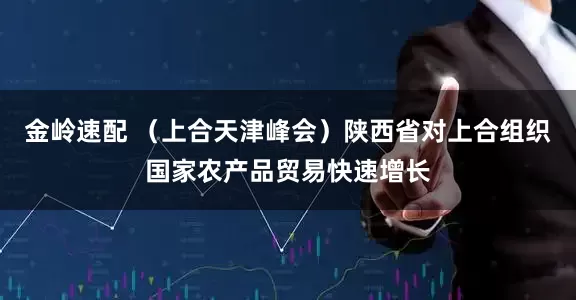 金岭速配 （上合天津峰会）陕西省对上合组织国家农产品贸易快速增长
